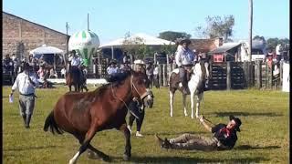 Ginete Nico Ramos vs Reservada Alegria da Tropilha da Grota no Rodeio Internacional de Pelotas