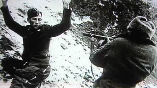 Царицынъ - Сталинград - Волгоград