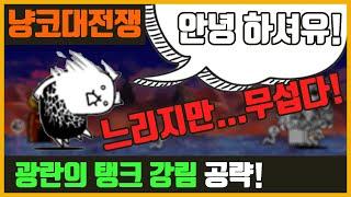 【냥코 대전쟁】광란의 탱크 강림 공략 | 인사는 잘해야 해(멀리서)