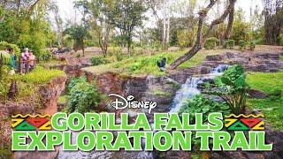Zoo Tours: Gorilla Falls Exploration Trail | Disney's Animal Kingdom