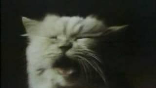 Meow Mix Famous Cats commercial 1982