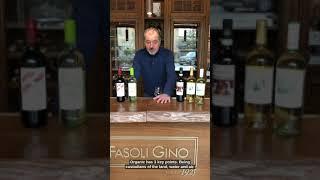 Fasoli Gino Winery Video