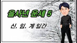 을사년 운세 5 - 신, 임, 계 일간