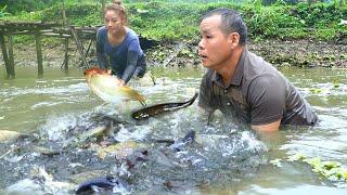 Mai and her father help her brother harvest a rich fish pond - Prepare delicious dishes from fish