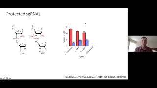 IGI Seminar Series – Correction of the Sickle Cell Disease Mutation with CRISPR-Cas9