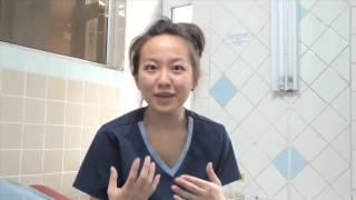 Projects Abroad Mongolia: Medical Volunteer Project