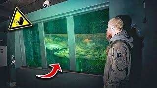 TIERE ZURÜCK GELASSEN! GEISTER AQUARIUM BEI NACHT ERKUNDET!