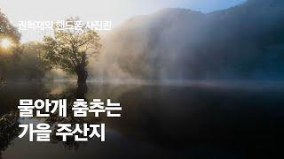 '깐부' 오영수가 스님이던 그 곳…물안개 춤추는 가을 주산지│ #권혁재의핸드폰사진관