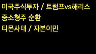 미국주식투자 / 트럼프vs해리스 / 중소형주 순환/ 티몬사태 / 자본이민