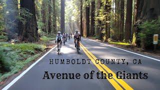 Avenue of the Giants, Humboldt Redwoods State Park, CA, Giant Redwoods RV  #rvlife