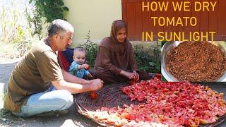 HOW WE DRY TOMATO IN SUNLIGHT | DRY TOMATO RECIPE |