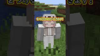 [Minecraft]男の夢を叶えてくれる完璧なmod