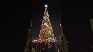 "Christmas by the Bay | Dubai Festival City " #dubai #festival city #christmas #whatsondubai