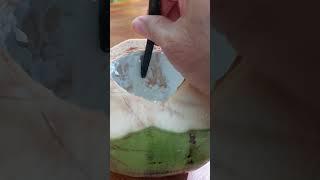How to eat coconut meat without a spoon?