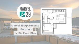 1*1B Floor Plan Virtual Tour - Marvel 29 Apartments