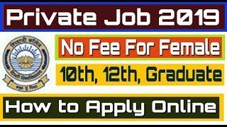 Private Job 2019 II Freshers Jobs II How to Apply Online II Learn Technical