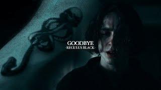 Regulus Black | Goodbye