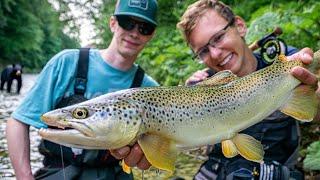 Euro-Nymphing fängt unfassbar mehr Fisch als Fliegenfischen (aber illegal)