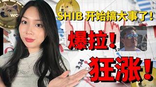 SHIB币疯狂飙涨！柴犬币8月份要暴涨？马斯克将要把它爆拉到多少？MEME币|shib柴犬币|土狗币|DOGE狗狗币今日行情分析|以太坊L2网络Shibarium主网|币圈最新消息|加密货币价格走势