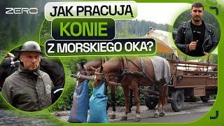 KTO MA RACJĘ W SPORZE O KONIE WOŻĄCE TURYSTÓW DO MORSKIEGO OKA?