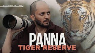 Panna Tiger Reserve | The Safari of a Lifetime