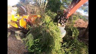 Opprydding med Kvisthugger og minigraver / Satisfactory cleanup with brushhogger and mini excavator