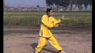 Advance Retreat Circulation Song Xingyiquan