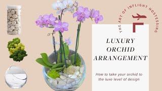 Luxury Orchid Arrangement- Private Jet Edition!