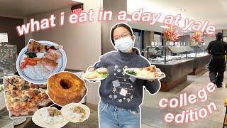 what i eat in a day at yale university 2021 | college edition (freshman)