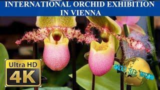 INTERNATIONAL ORCHID EXHIBITION IN VIENNA - 2020 - 4K 50p