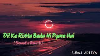 Dil ka Rishta Bada Hi Pyara Hai Slowed reverb ||Alka Yagnik, Udit Narayan & Kumar Shanu ||