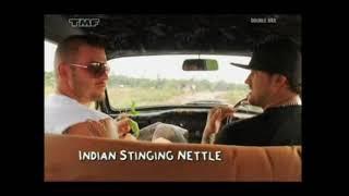 Indian Nettles. Dirty Sanchez. Sanchez Get High. Comedy.
