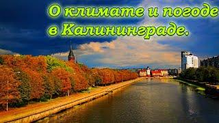 На ПМЖ в Калининград. О погоде и климате в Калининграде.