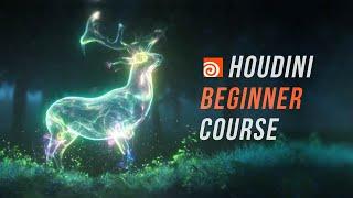 Intro To Houdini for VFX - Beginner Course