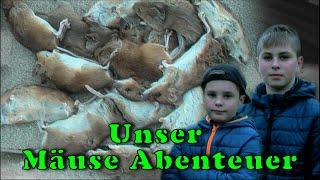 Unser Kampf gegen die Mäuse |Kinder Abenteuer| Tier Doku |Mäuseplage im Winter