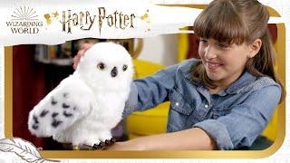 Unlock magical experiences with Enchanting Hedwig! Harry Potter Wizarding World