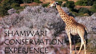 Shamwari Conservation Experience