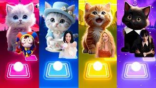 Cute Cats Songs | Wednesday Bloody Mary | Shakira Waka Waka | Jisoo Flower | Pomni TADC