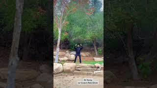 Qi Gong - Relaxation Movement