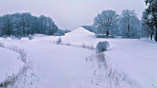 Winter im Branitzer Park