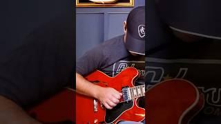 Gibson ES 335 Red vs Gibson ES 335 Black #gibson #gibsonguitars #gibsones335 #joebonamassa #guitar