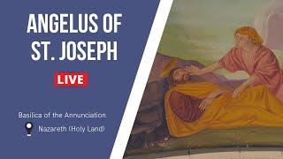 Angelus of St Joseph in the Crypt of the Holy Family | November 20, 2024