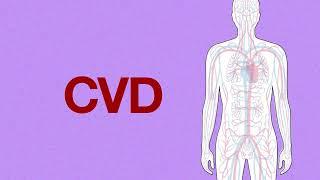 Cardiovascular disease (CVD): What is it? - Urdu