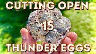 Cutting & Exposing Thunder Egg Cores with Lapidary saw!