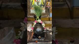 అరుణాచలం శక్తి వినాయకుడు దర్శనం #tiruvannamalai #shorts #arunagirivlogs