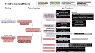 Penetrating chest trauma (mechanism of disease)