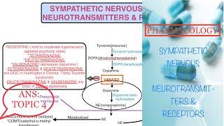 PHARMACOLOGY:SYMPATHETIC NERVOUS SYSTEM:NEUROTRANSMITTERS AND RECEPTORS//#ANS#ans#pharmacology