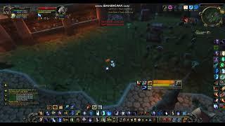 frost mage vs feral druid 3.3.5 a wowcircle 1 x 1