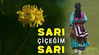 Sari Çiçeğum Sari- Özlem Üngör