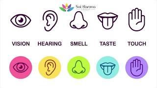 Five Senses Meditation | Dr. Uday Shah